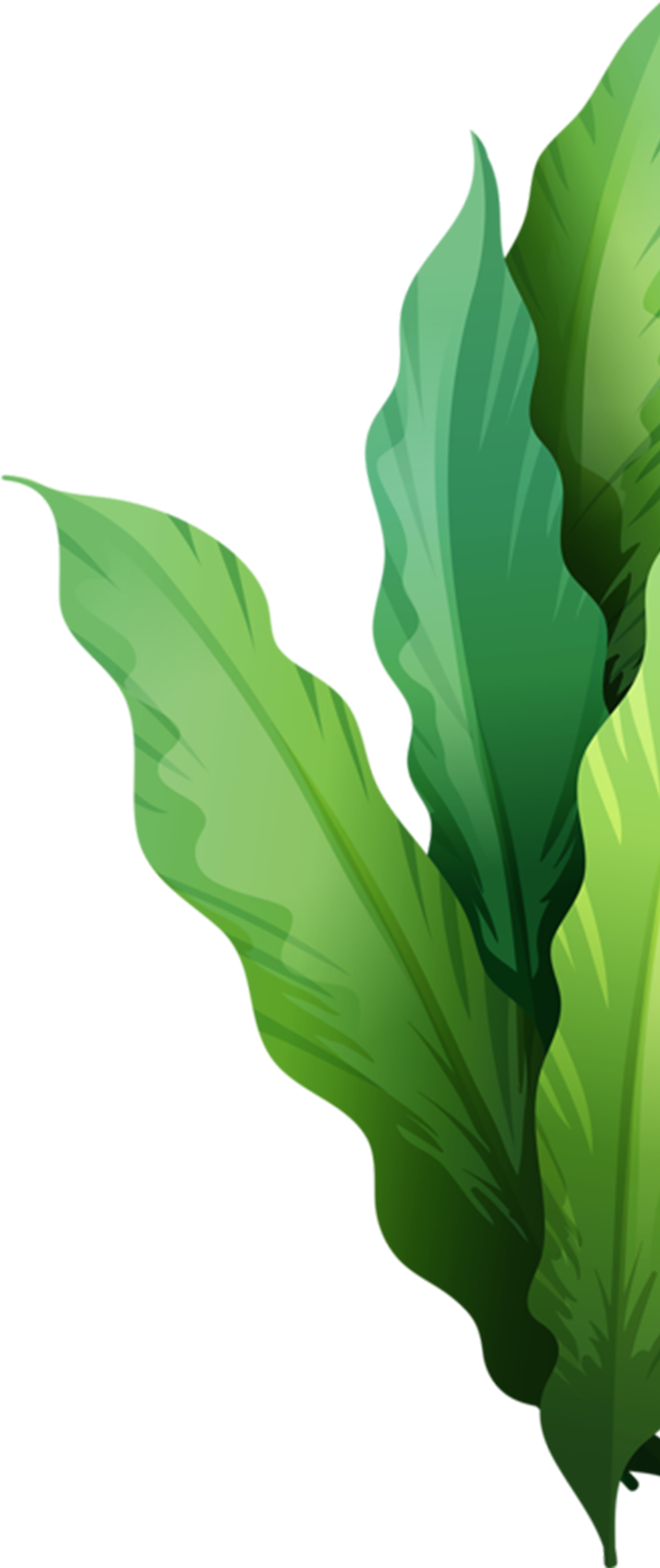 Advancing Organic Regenerative Agriculture | Pioneering Biomedical & Environmental Research