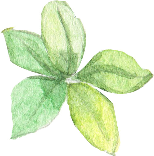 Advancing%20Organic%20Regenerative%20Agriculture%20|%20Pioneering%20Biomedical%20&%20Environmental%20Research