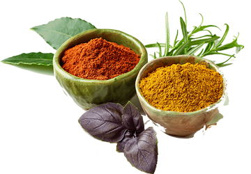 Advancing Organic Regenerative Agriculture | Pioneering Biomedical & Environmental Research