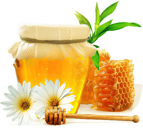 Advancing Organic Regenerative Agriculture | Pioneering Biomedical & Environmental Research