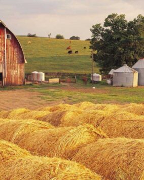 Advancing Organic Regenerative Agriculture | Pioneering Biomedical & Environmental Research