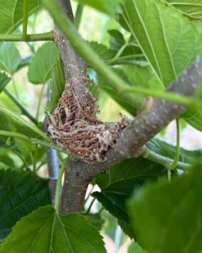 WhatsApp Image 2026-04-15 at 12.54.07 PM (1)