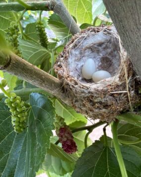 WhatsApp Image 2026-04-15 at 12.54.07 PM (2)